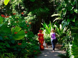 Mary-Selby-Botanical-Gardens-Sarasota-7781