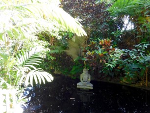 Mary-Selby-Botanical-Gardens-Sarasota-7788