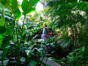 Mary-Selby-Botanical-Gardens-Sarasota-7790