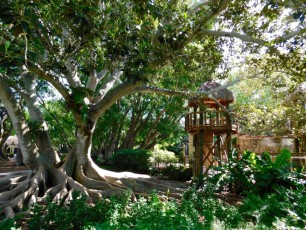 Mary-Selby-Botanical-Gardens-Sarasota-7822