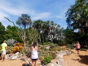 Mary-Selby-Botanical-Gardens-Sarasota-7831