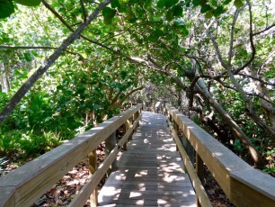 Mary-Selby-Botanical-Gardens-Sarasota-7863