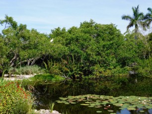 Mary-Selby-Botanical-Gardens-Sarasota-7886