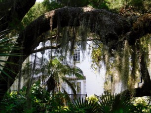 Mary-Selby-Botanical-Gardens-Sarasota-7890