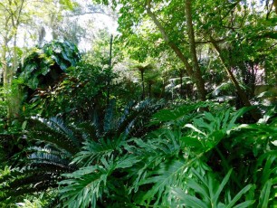Mary-Selby-Botanical-Gardens-Sarasota-7898