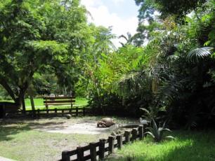 Flamingo-Gardens-Jardins-botaniques-Davie-Floride-1362