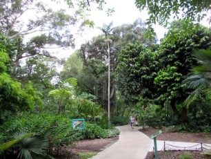 Flamingo-Gardens-Jardins-botaniques-Davie-Floride-1468