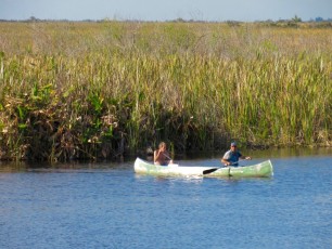 Les Everglades au Loxahatchee National Wildlife Refuge à Boynton Beach en Floride