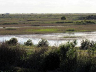 Systèmes de réservoirs dans les Everglades au Loxahatchee National Wildlife Refuge à Boynton Beach en Floride