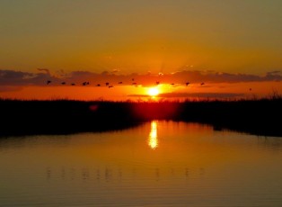 Coucher de soleil sur le Everglades au Loxahatchee National Wildlife Refuge à Boynton Beach en Floride