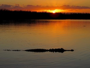 Coucher de soleil sur le Everglades au Loxahatchee National Wildlife Refuge à Boynton Beach en Floride