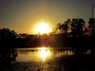 Coucher de soleil au Okeeheelee Park de West Palm Beach en Floride