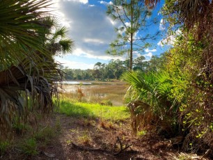 Okeeheelee-park-parc-west-palm-beach-Floride-5764