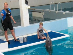 Dauphin au Clearwater Marine Aquarium