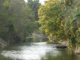 Rivière près de Wayside Park - Coral Gables - Miami - Floride