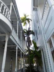 Key-West-vieille-rue-maisons