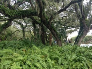 Jardins de la Villa Vizcaïa - Miami - Floride