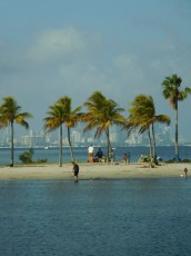 Miami vu depuis la plage du Matheson Hammock Park à Coral Gables / Floride