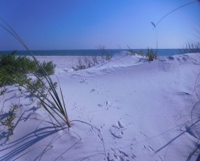 Plage de Lido Beach, sur l'île de Lido Key à Sarasota