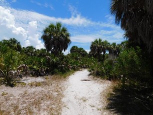 Caladesi Island, en Floride