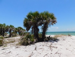 Caladesi Island, en Floride