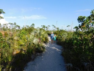 île de Big Pine Key / Floride