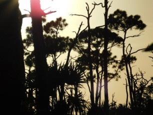 Big Pine Key / Floride