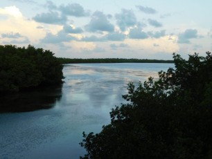 Île de No Name Key / Floride