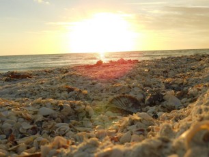 Coucher de soleil sur la plage de Marco Island en Floride