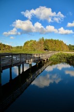 Green-cay-wetlands-parc-boynton-beach-Floride-3225