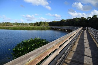 Green-cay-wetlands-parc-boynton-beach-Floride-3259