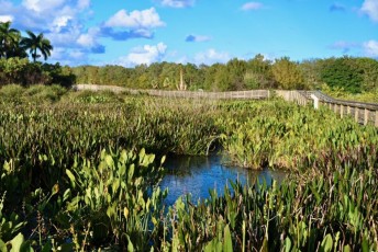 Green-cay-wetlands-parc-boynton-beach-Floride-3272