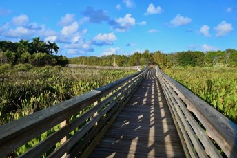 Green-cay-wetlands-parc-boynton-beach-Floride-3273