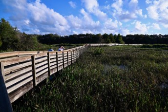 Green-cay-wetlands-parc-boynton-beach-Floride-3306