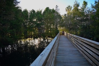 Green-cay-wetlands-parc-boynton-beach-Floride-3318