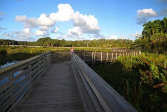 Green-cay-wetlands-parc-boynton-beach-Floride-3332