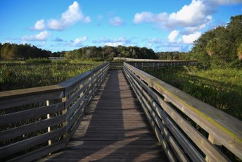 Green-cay-wetlands-parc-boynton-beach-Floride-3341