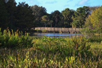 Green-cay-wetlands-parc-boynton-beach-Floride-3342