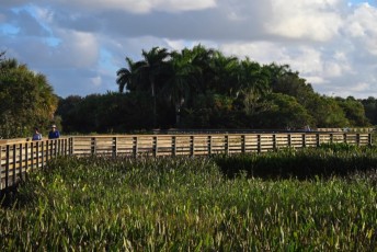 Green-cay-wetlands-parc-boynton-beach-Floride-3351