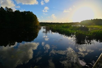 Green-cay-wetlands-parc-boynton-beach-Floride-3391