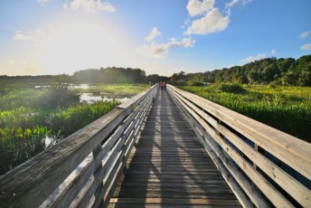 Green-cay-wetlands-parc-boynton-beach-Floride-3392