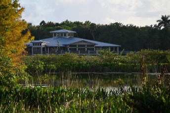 Green-cay-wetlands-parc-boynton-beach-Floride-3399