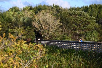 Green-cay-wetlands-parc-boynton-beach-Floride-3435