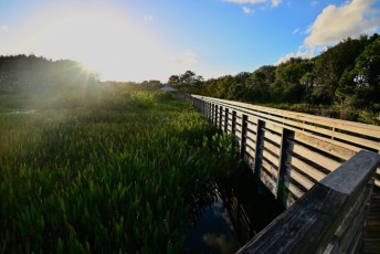 Green-cay-wetlands-parc-boynton-beach-Floride-3443