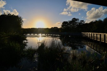 Green-cay-wetlands-parc-boynton-beach-Floride-3486