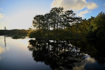 Green-cay-wetlands-parc-boynton-beach-Floride-3519