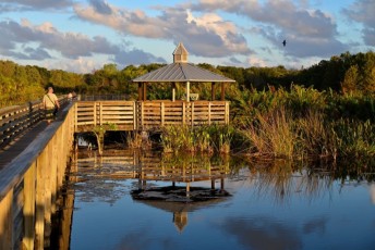 Green-cay-wetlands-parc-boynton-beach-Floride-3535