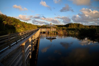 Green-cay-wetlands-parc-boynton-beach-Floride-3553