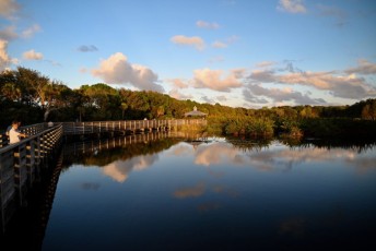 Green-cay-wetlands-parc-boynton-beach-Floride-3564
