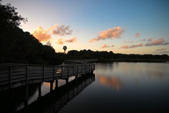 Green-cay-wetlands-parc-boynton-beach-Floride-3616